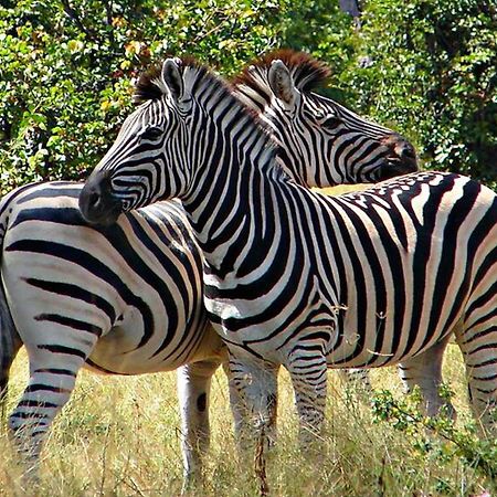 Kwalape Safari Lodge Касане Экстерьер фото